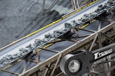 Non-Rollover Backstops Offer Enhanced Safety