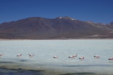 Critical raw materials in South America: A key resource for the global energy transition 