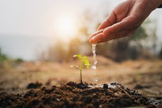 Beneath the surface: The long-term effects of mining on water tables and soil health