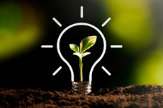 Mining's green transition: Balancing production goals with stricter environmental standards