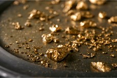 Gold's rally puts mining quality to the test
