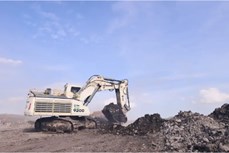 Darma Henwa expands fleet with 10 new Liebherr machines