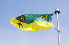 Uranium Energy Corp announces acquisition of Roughrider uranium project