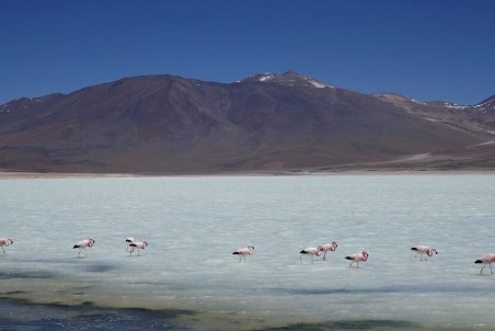 Critical raw materials in South America: A key resource for the global energy transition