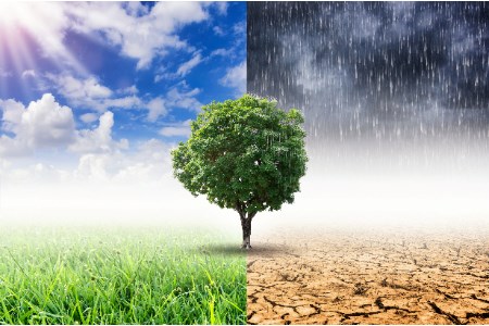 Maintenance planning meets weather forecasting: Aligning repair schedules with climate forecasts